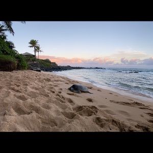 Meet your Posher, Kristy